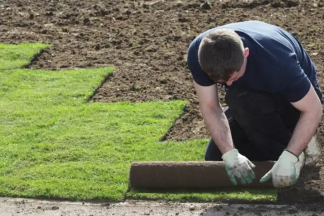 Instant Rolled Turf Brickwork Pattern 800X451px LS