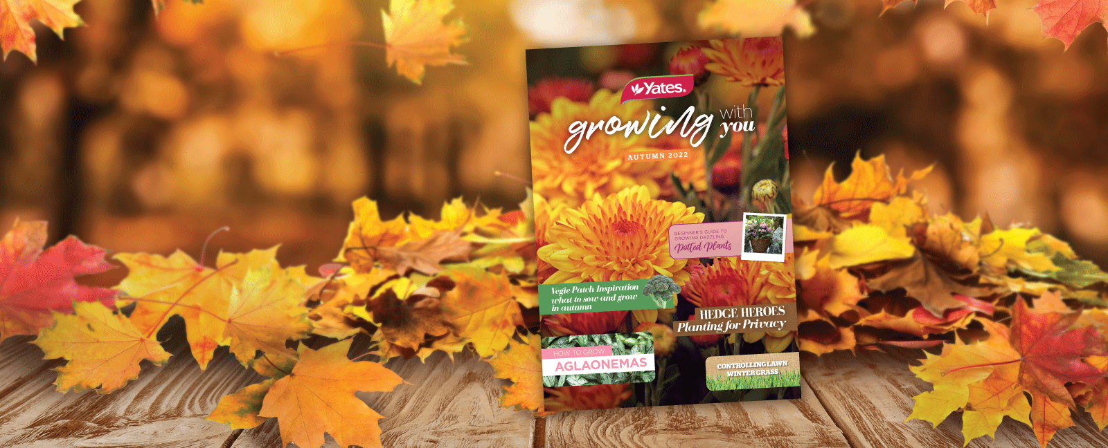 ‘Growing With You’ Autumn — now available!