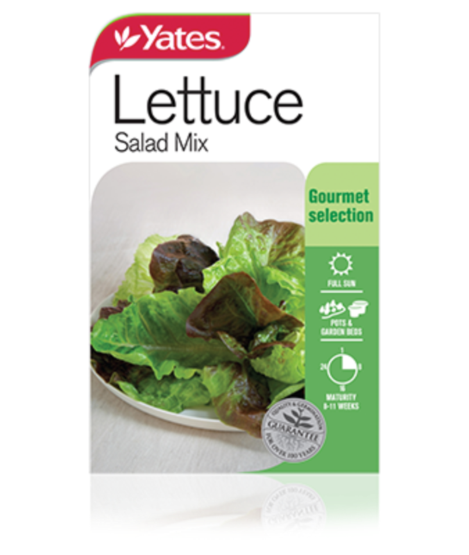 Lettuce Salad Mix Garden Seeds Yates Australia