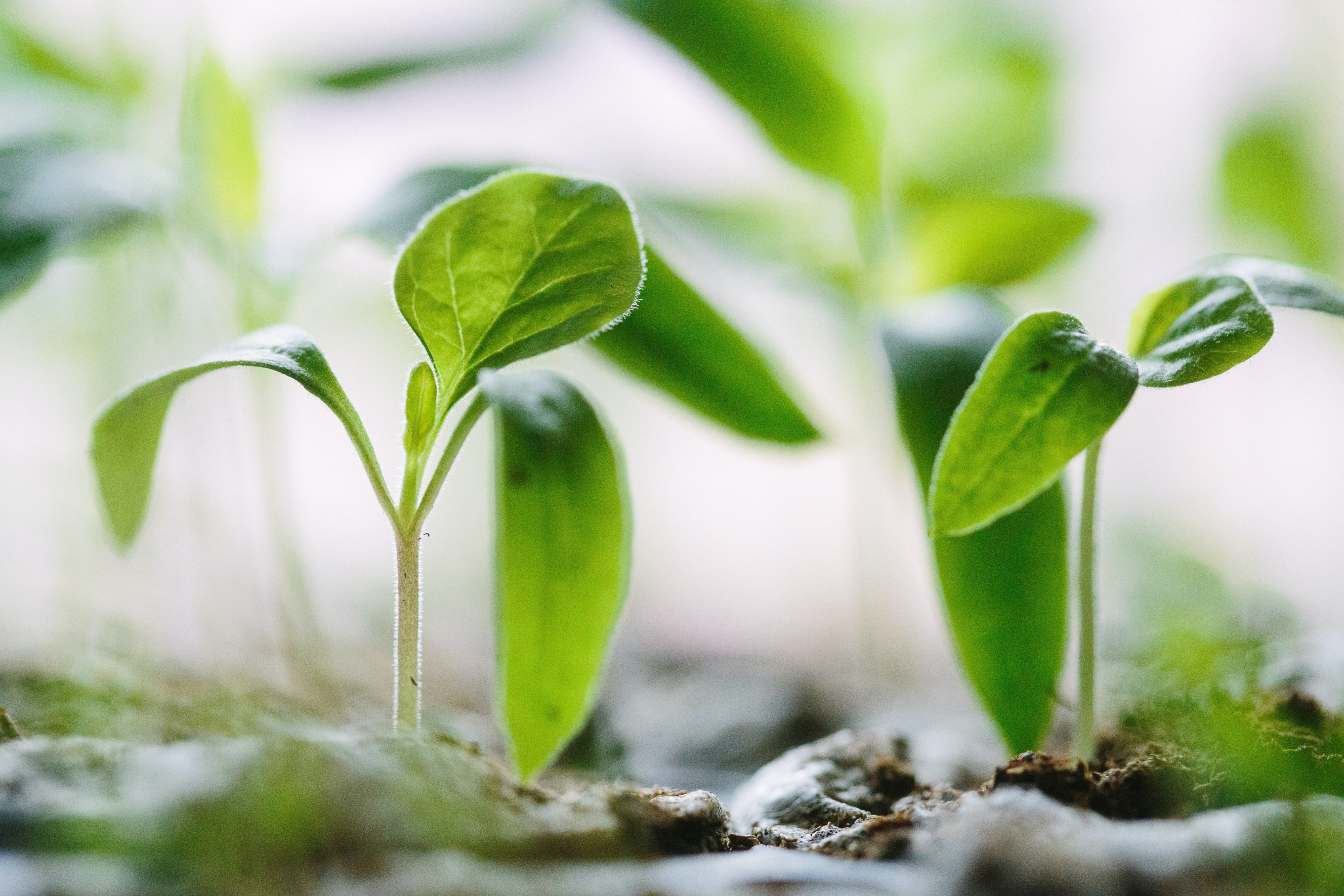 Yates is Committed to Supporting the Ongoing Sustainability of Our Planet