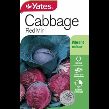 cabbage-red-mini