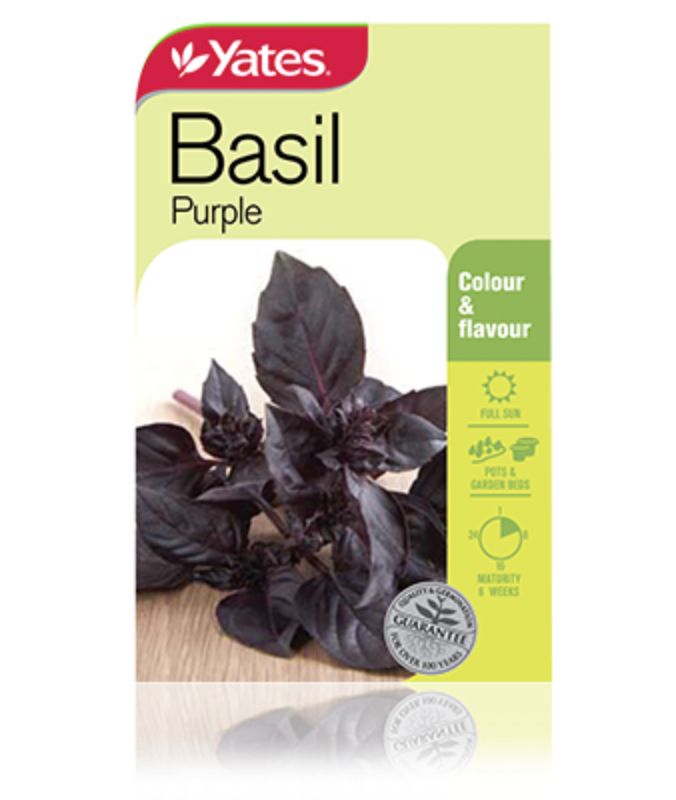 Basil Purple Garden Seeds Yates Australia