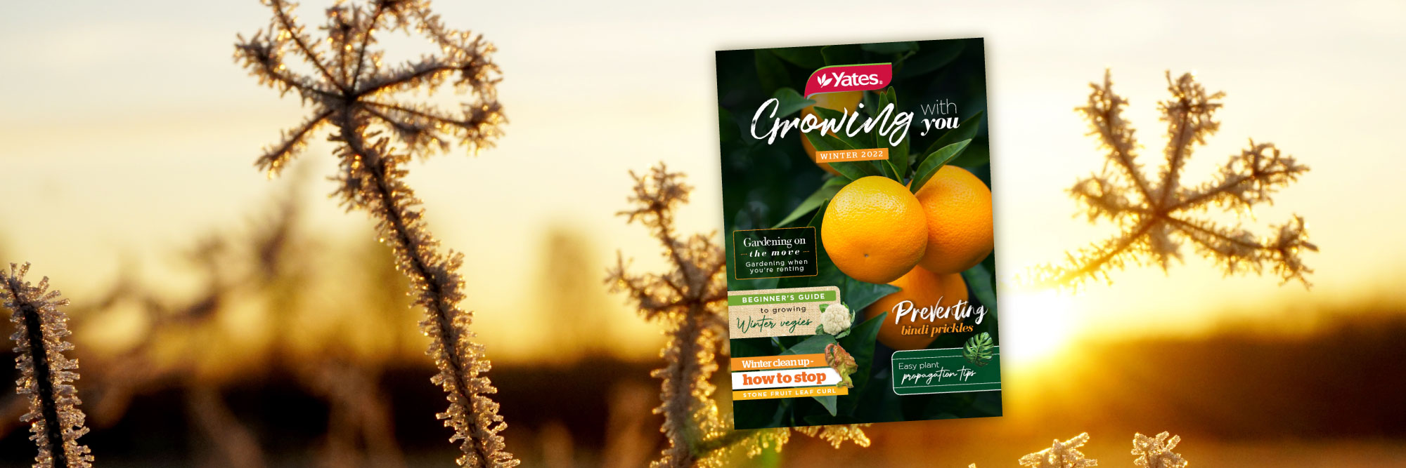'Growing With You' Winter Magazine