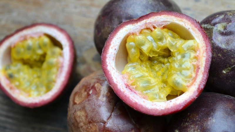 Black Passionfruit (passiflora edulis) harvested fruits, some have been cut in half exposing the yellow pulp inside.
