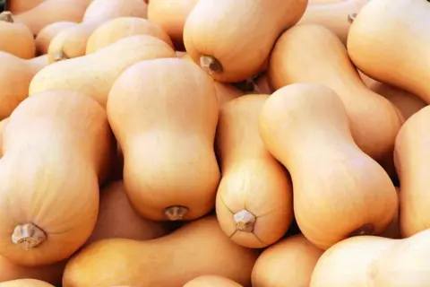 Butternut pumpkins stacked on top of each other