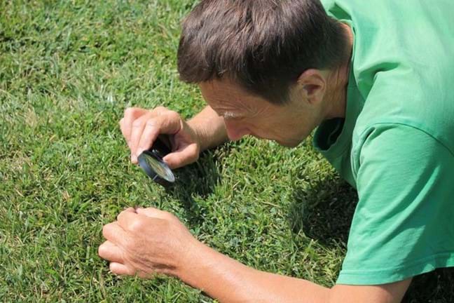 Man With Magnifying Glass Looking At Grass