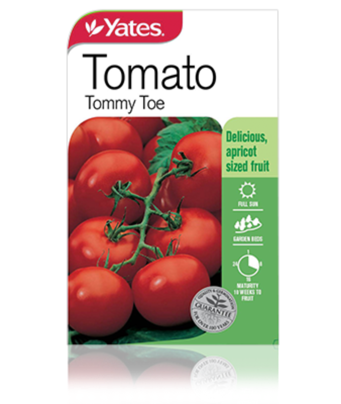 Tomato Tommy Toe Garden Seeds Yates Australia