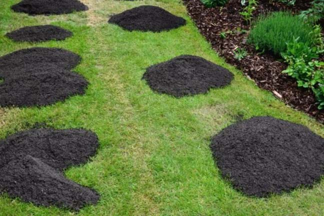 Image above: mounds of lawn topdressing to be raked and watered in