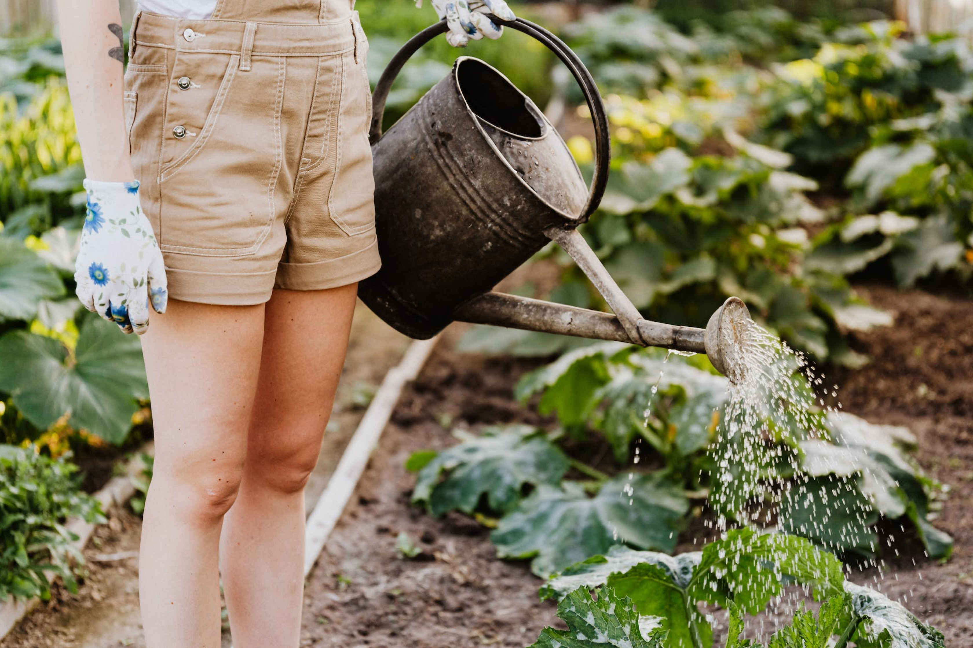 Yates is Committed to Supporting the Ongoing Sustainability of Our Planet