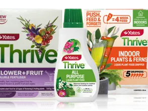 Yates Thrive