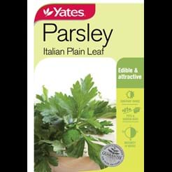Parsley Italian Plain Leaf