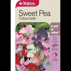 Sweet Pea Colourcade