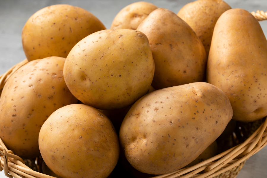 Nicola Potato - white/yellow skinned