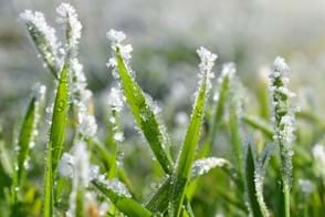 How to Care for Your Lawn this Winter