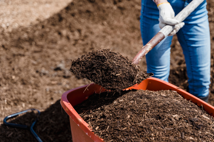 person shovelling compost out of a wheelbarrow into a garden bed