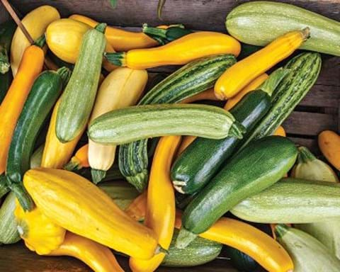 pile of mixed zucchinis (yellow, light green, and dark green) on a timber table