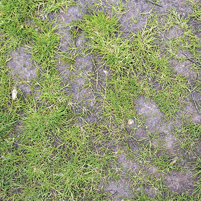 J009065 Munns Summer EDM Blog4