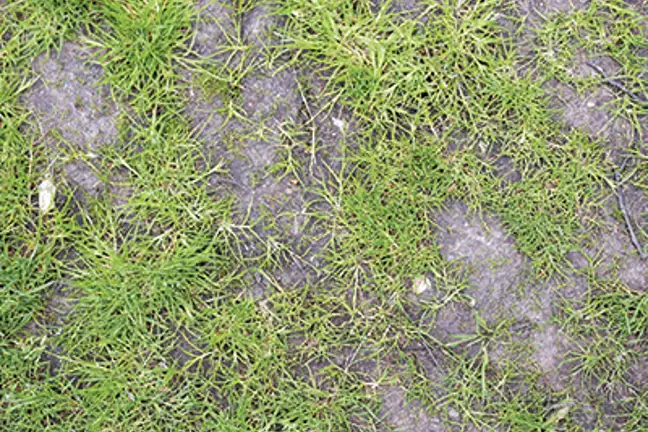 J009065 Munns Summer EDM Blog4