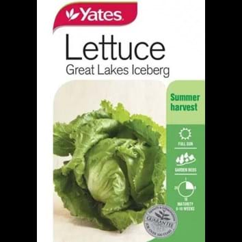 lettuce-great-lakes-iceberg