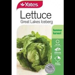 Lettuce Great Lakes Iceberg