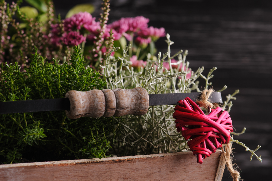 pink painted wooden box with a metal handle and a pink wicker love heart hanging off it, box is filled with various ornamental plants as a gift