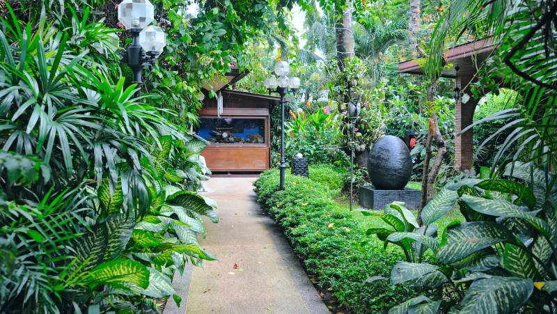 a dense and lush tropical garden with a ball shaped water feature, and a path leading down to a timber house
