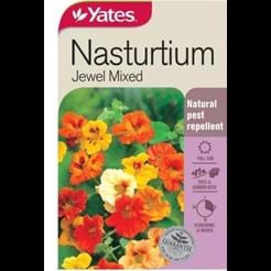 Nasturtium Jewel Mixed