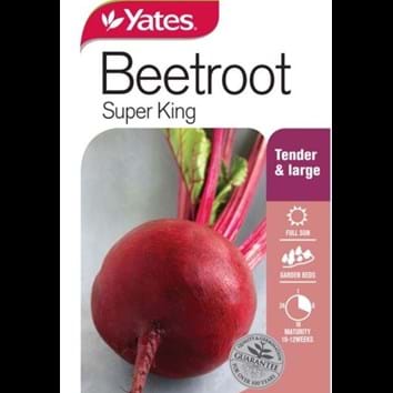 beet-root-super-king