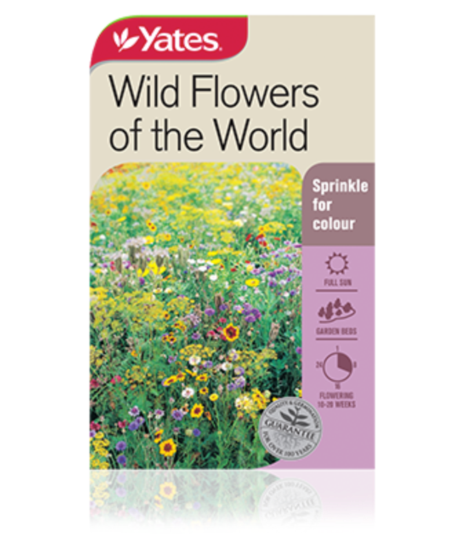 Wild Flowers of the World Garden Seeds Yates Australia
