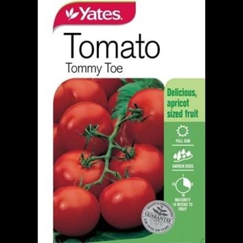 tomato-tommy-toe