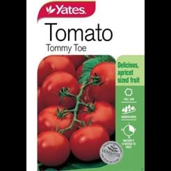 Tomato Tommy Toe