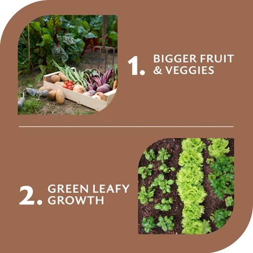 Yates Dynamic Lifter Organic Plant Food & Soil Improver Pellets Standard & Reduced Odour - Tile 2A.jpg (1)