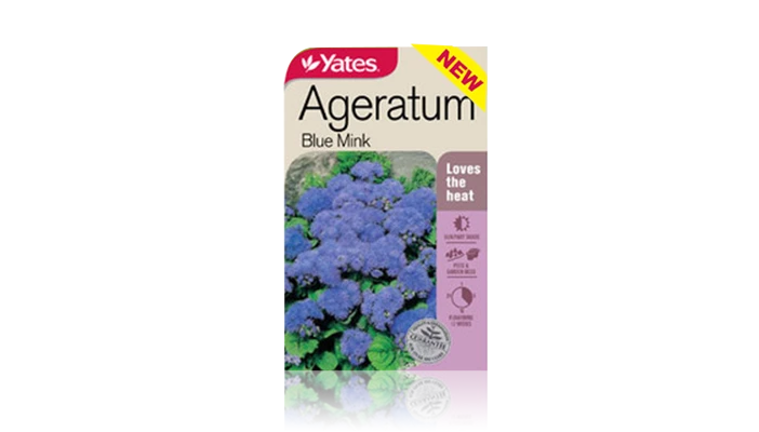 Ageratum