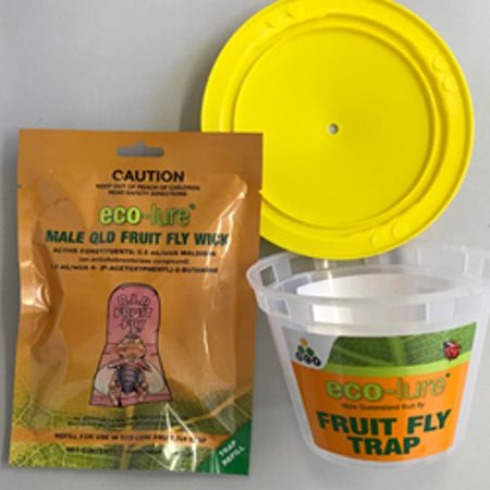 Eco Lure Male Qld Fruit Fly Trap Web Lr (1)