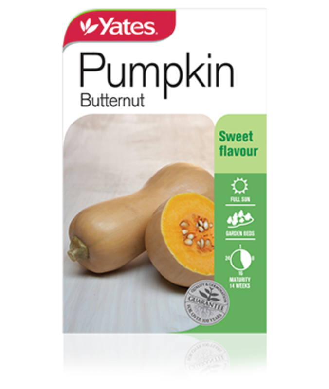 Pumpkin Butternut Garden Seeds Yates Australia