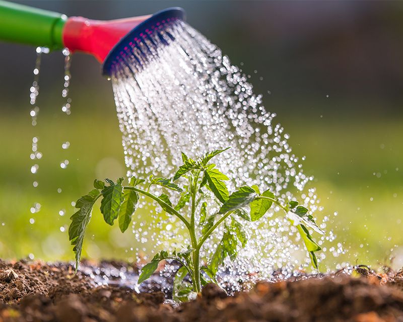 Waterwise 