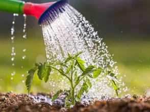 Water Saving
