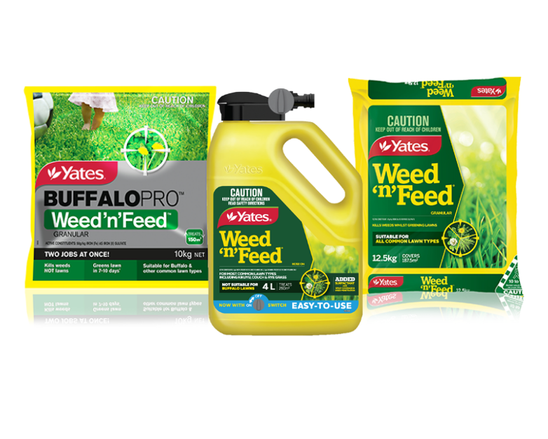 Lawn Weed Frequently Asked Questions Faq Yates Lawn Weed Frequently Asked Questions Faq Yates