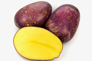 Royal Blue Potato - purple skin yellow flesh