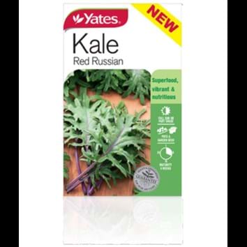 kale-red-russian