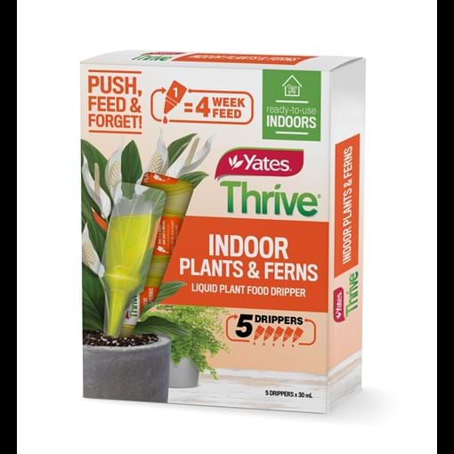 55858_Yates Thrive Indoor Plants & Ferns Food Dripper_5X30ml_3D_FOP.JPG (7)