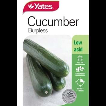 cucumber-burpless