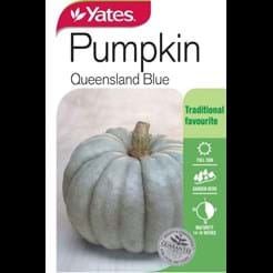 Pumpkin Queensland Blue