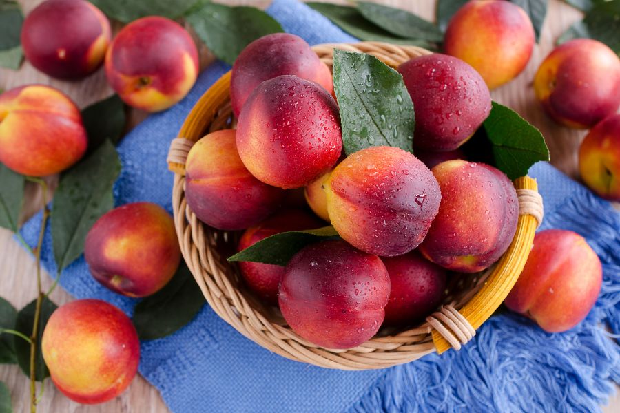 Flavortop Nectarine