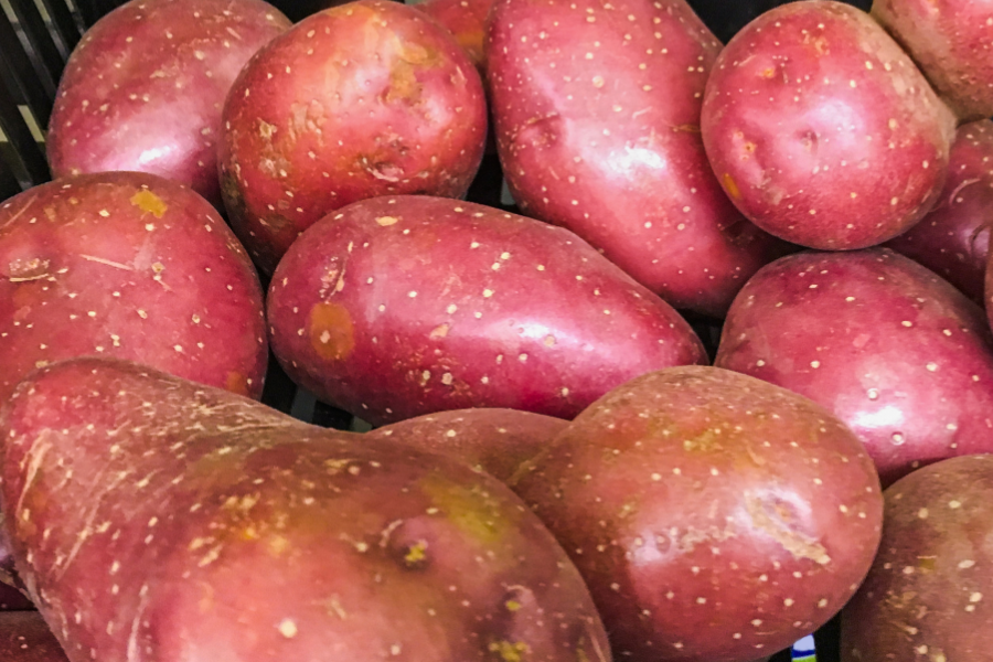 Desiree Potato pink skin