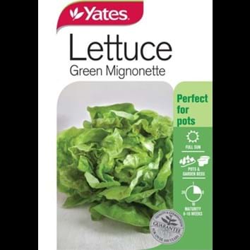 lettuce-green-mignonette