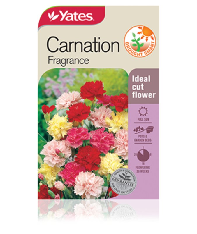 Carnation Fragrance Garden Seeds Yates Australia