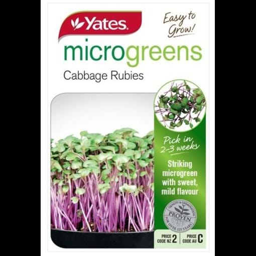 54487_Microgreens Cabbage Rubies_FOP.jpg
