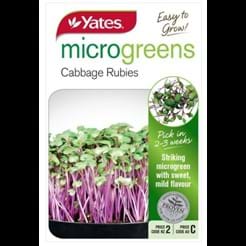 Microgreens Cabbage Rubies