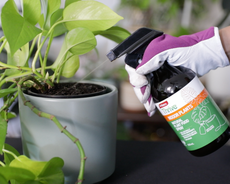 Yates 1L Thrive Natural Indoor Plant Food Spray Refill